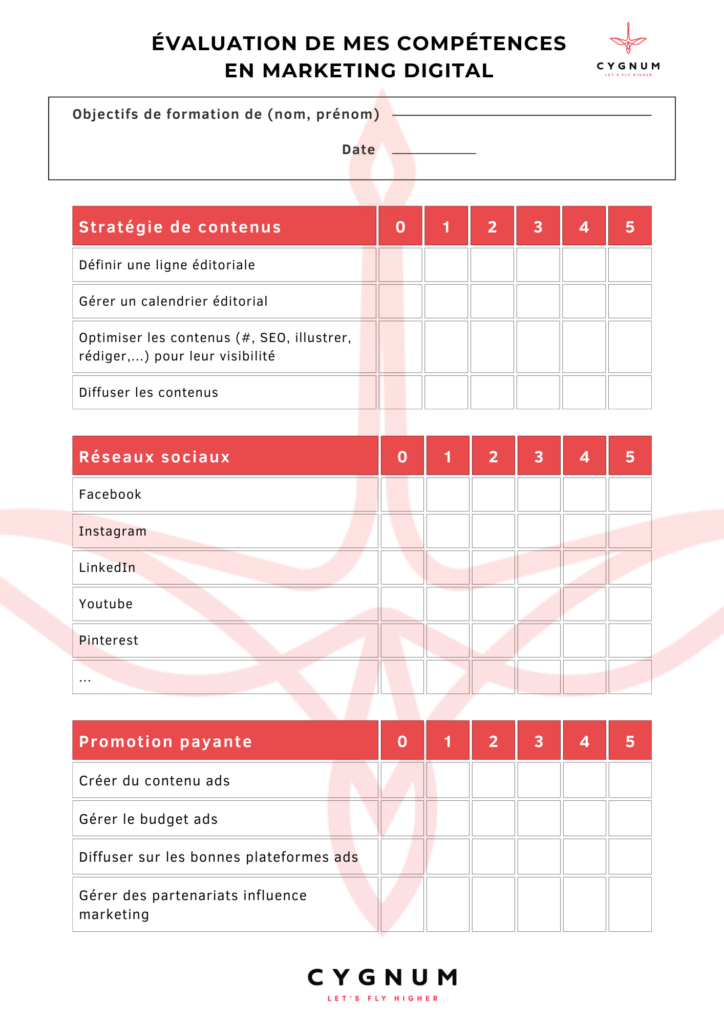 grille d'évaluation individuelle des principales compétences clés en marketing digital (liste à titre informatif et non exhaustive)